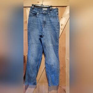 Everlane the Curvy Cheeky Jean 28 regular